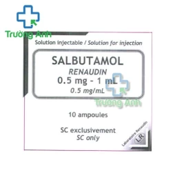 Salbutamol Renaudin 0,5mg/1ml - Thuốc điều trị hen suyễn